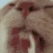 licklickFAST licklickFAST
