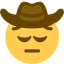 cowboypensive