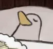 sleepduck