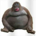 monke monke
