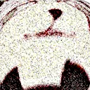 LappSniff