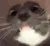 awooga
