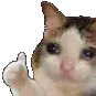 thumbs_up_cat
