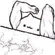 bongoSMASH