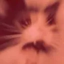 sadcat_yamerooo Discord Emoji