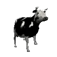cowJAM