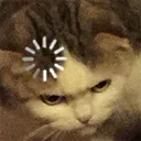 catloading