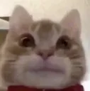 Frank