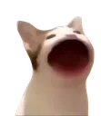 PopCat_POG PopCat_POG