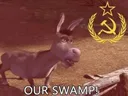 Communist_Donkey