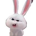 y_bunnyhuh