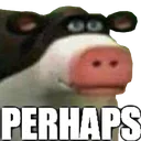 Perhaps Perhaps