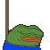 TP_pepeBus