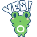 k_yes