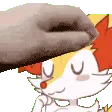 patkyu patkyu