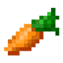 carrot