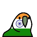 indiaparrot