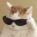 coolCat Discord Emoji