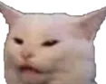 catWut