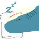 haj_slumber
