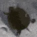 turtlespin turtlespin