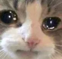 emoji_4