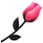 bp_rose