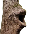 loggers Discord emoji