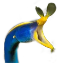 eelPog eelPog