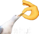 Shut