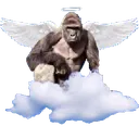 harambe