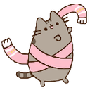 pusheendnc Discord emoji