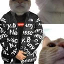 KotGang3 Discord Emoji