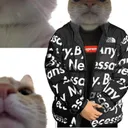 KotGang4 Discord Emoji