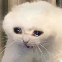 sadkitkat