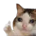 Cat Thumb Discord Emoji