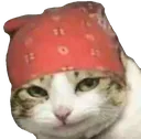 rigato