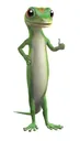 geico