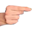 Pointer