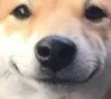 CheemsSmile