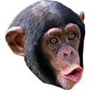 Pog Chimp Pogchimp Discord Emoji
