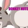 Donkeynutsemote