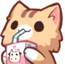 D7_CatSip D7_CatSip