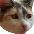 Concern