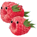berryfish