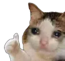 sad_cat