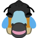 IguanoLaugh