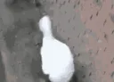 lalaal lalaal