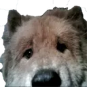 Boop