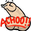 Darwin_Achoo_LP